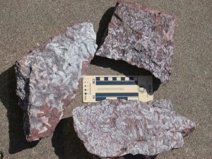 Three reddish purple andalusite stones in a circular grouping with a scale in the middle.
