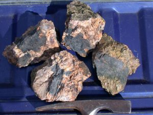 Four chunks of orange syenite with bands of black arfvedsonite on them. The background in the image is blue. A gray metal Estwing geology pick hammer head for scale is at the bottom of the image.