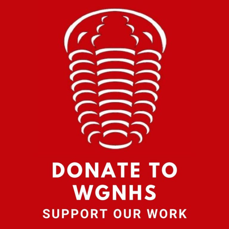 Wisconsin Rocks and Minerals (story map) – WGNHS – UW–Madison