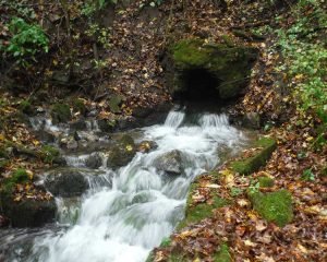 Springs – WGNHS – UW–Madison